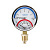 YE10 Термоманометры (верт.)1/2" 10bar (50/1шт)